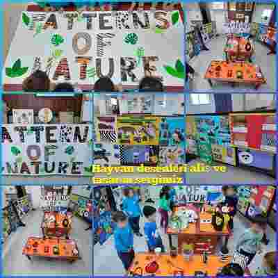 Çocuklar “Patterns of Nature” projesi ile doğal dünyanın güzelliklerini keşfediyor