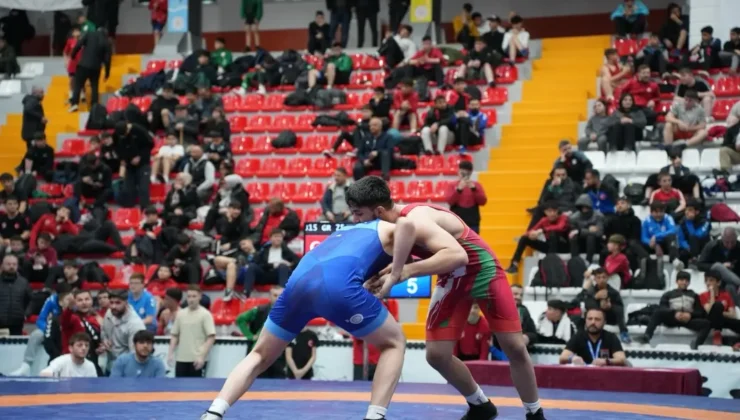 Kars'ta 1500 pehlivan minderde ter dökecek