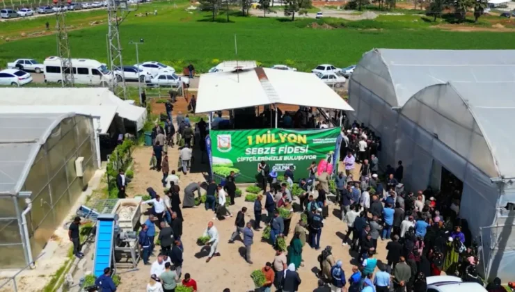 Şanlıurfa Büyükşehir, 1 milyon fide dağıtarak üreticiyi destekledi