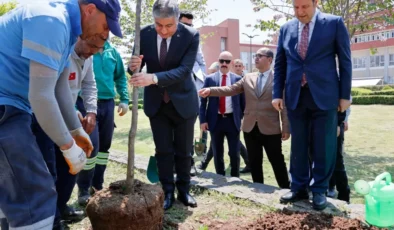 Adana valiliğinin bahçesinde 36 turunç ağacı toprakla buluştu
