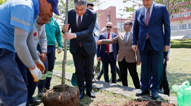 Adana valiliğinin bahçesinde 36 turunç ağacı toprakla buluştu