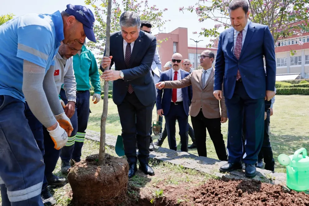 Adana valiliğinin bahçesinde 36 turunç ağacı toprakla buluştu