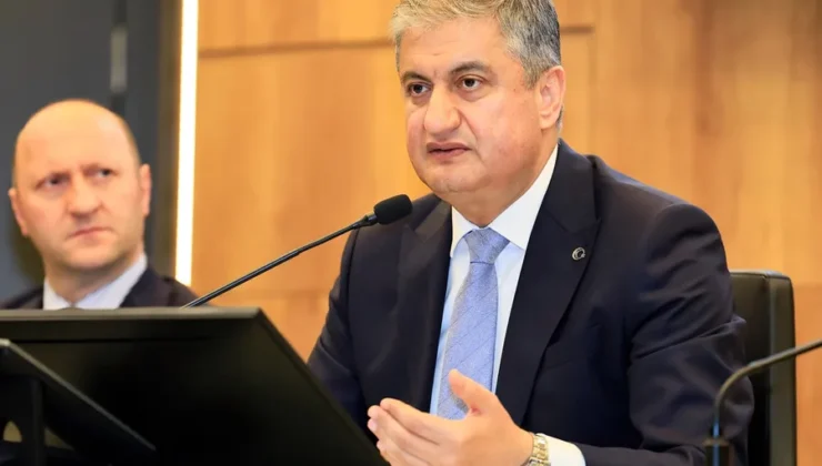 Adana’daki sahipsiz hayvanlar barınaklara alınmak üzere toplatılıyor
