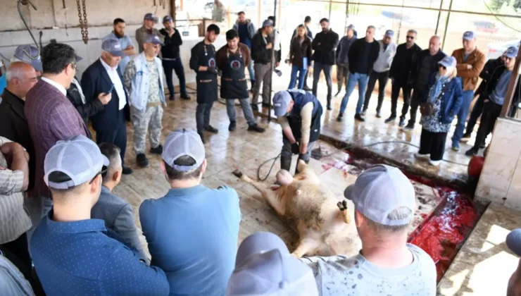 Sarıçam’da kurban kesim elemanı kursu tamamlandı