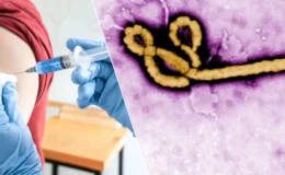 DSÖ’den Ebola uyarısı: "Aşı için 9 ay gerekebilir"