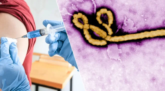 DSÖ’den Ebola uyarısı: "Aşı için 9 ay gerekebilir"