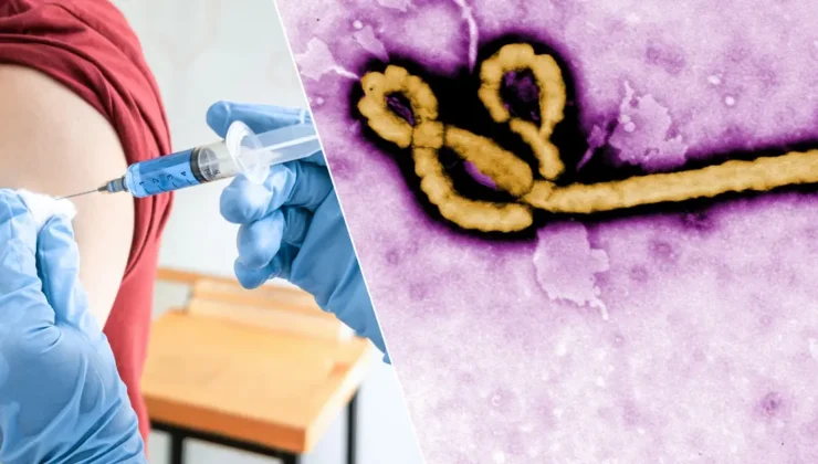 DSÖ’den Ebola uyarısı: "Aşı için 9 ay gerekebilir"