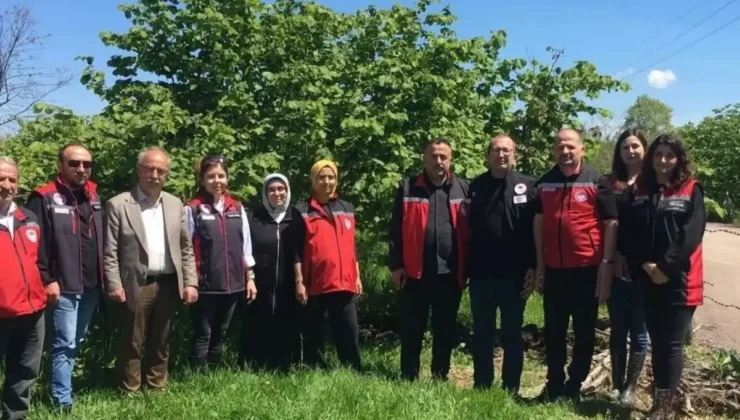 Fındık için yeni alarm dal ucu kuruması