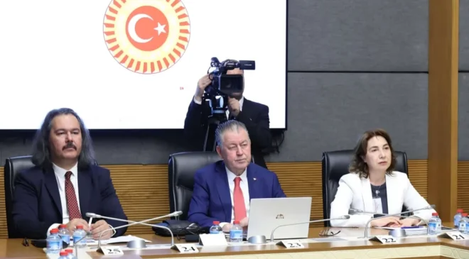 TİMBİR Akademik Kurul Başkanı Prof. Dr. Kamer’den TBMM’de dijital güvenlik sunumu: “Çocukların dijital güvenliği artırılmalı”