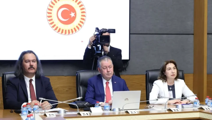 TİMBİR Akademik Kurul Başkanı Prof. Dr. Kamer’den TBMM’de dijital güvenlik sunumu: “Çocukların dijital güvenliği artırılmalı”